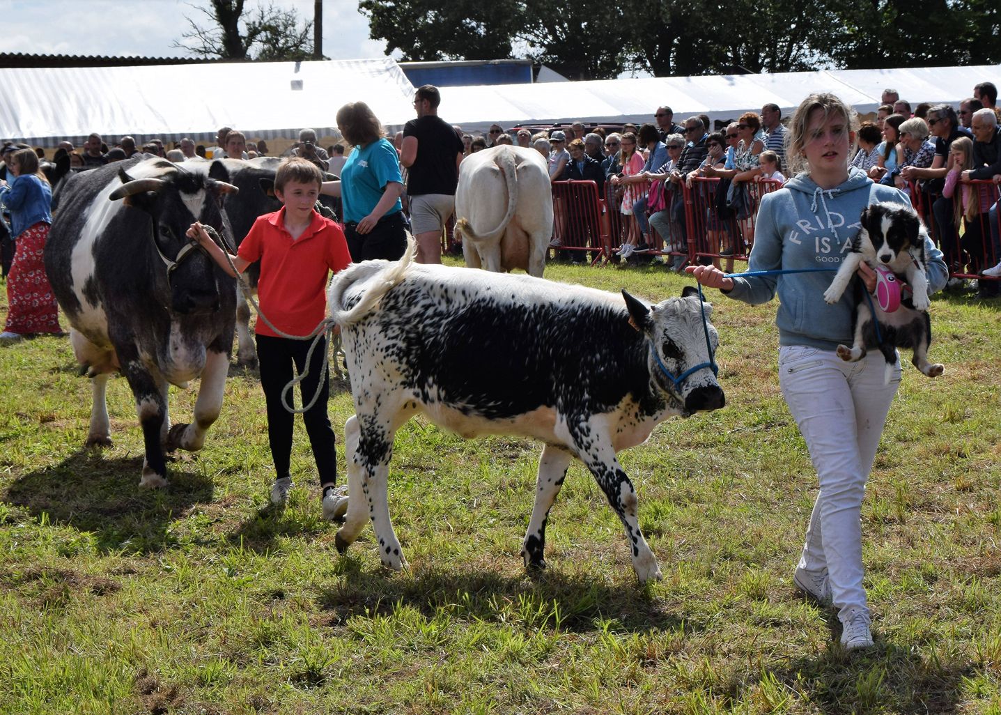 Comice agricole 06