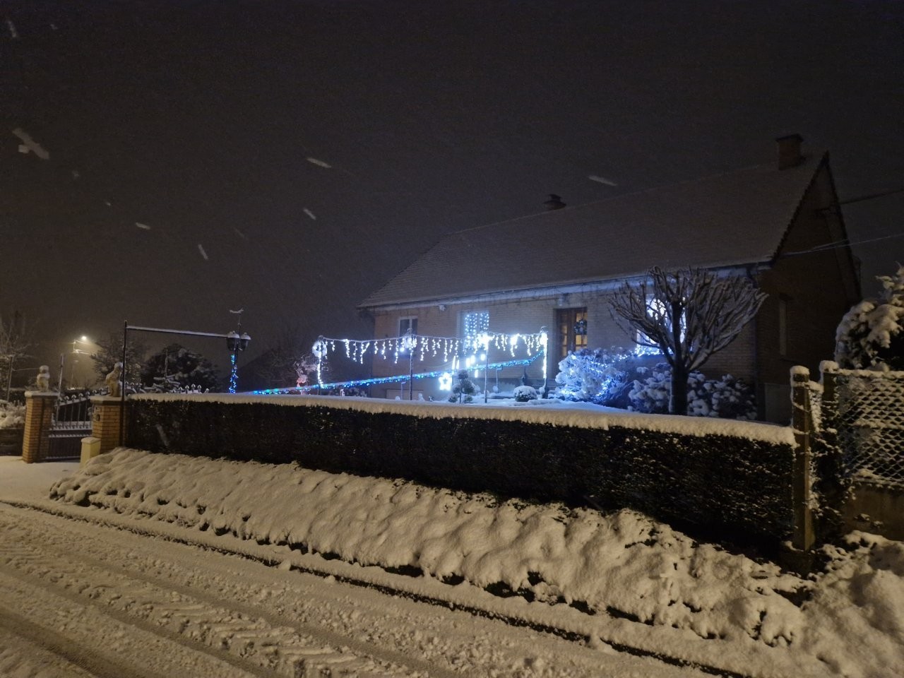Sous la neige 29 