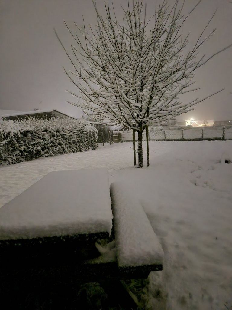 Sous la neige 36 