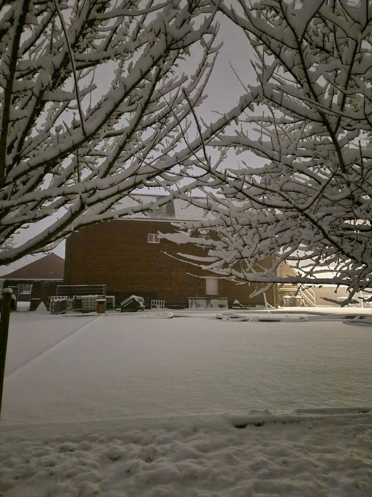 Sous la neige 39 