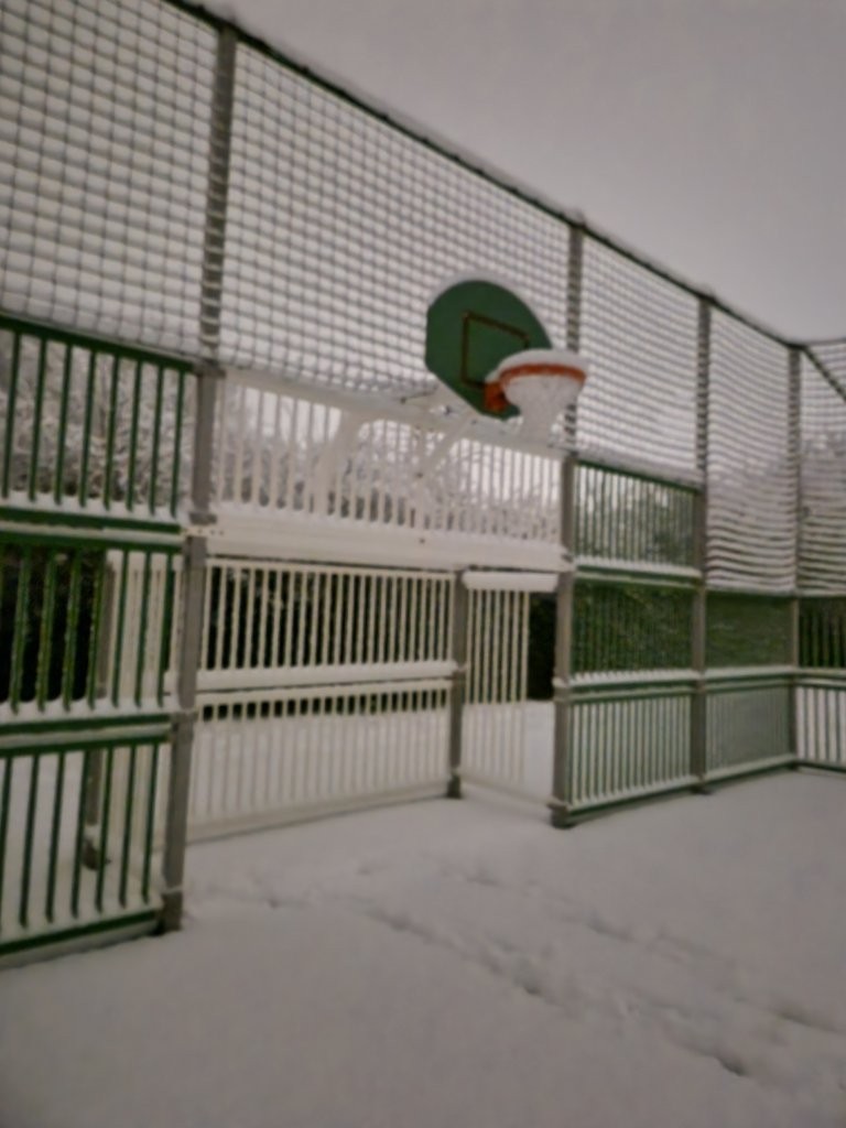 Sous la neige 43 
