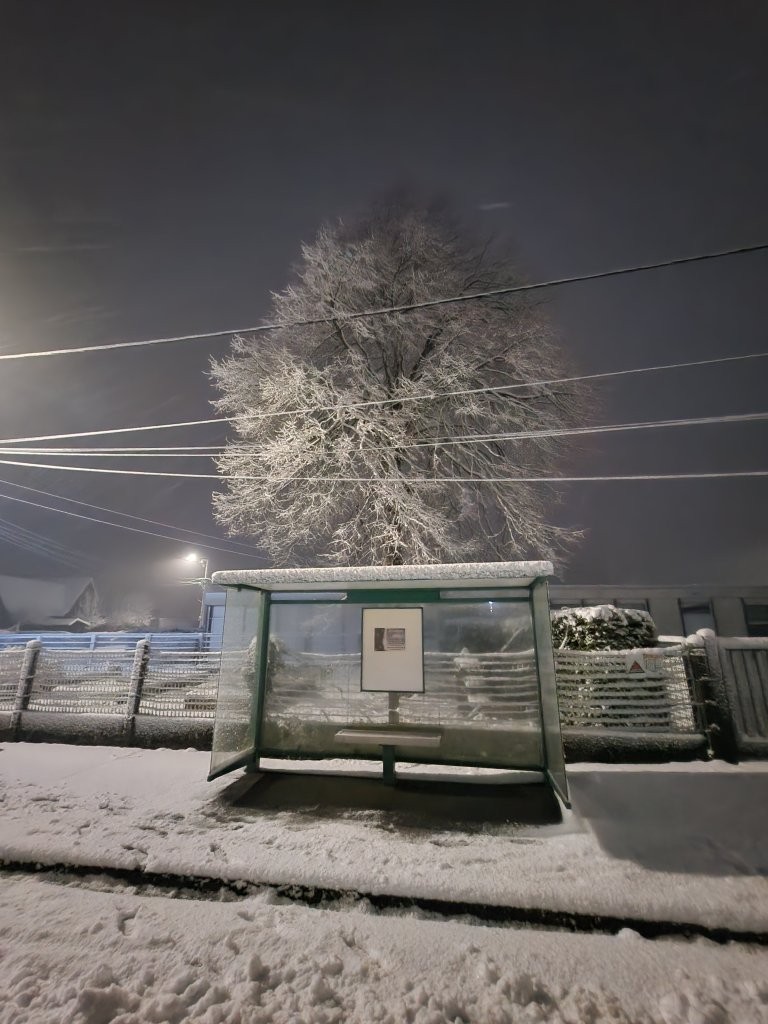 Sous la neige 50 