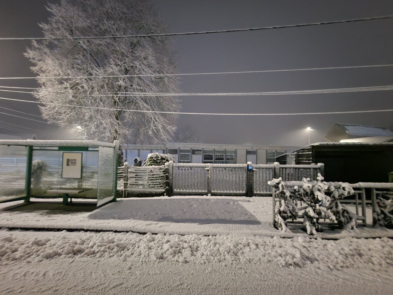 Sous la neige 51 