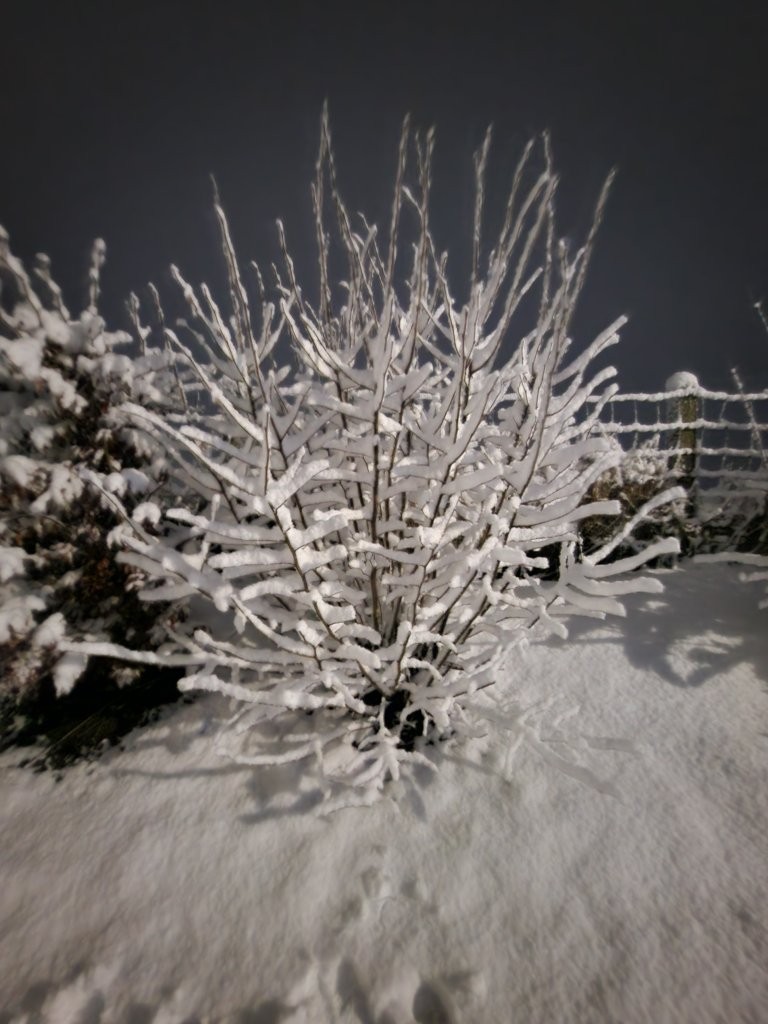 Sous la neige 61 