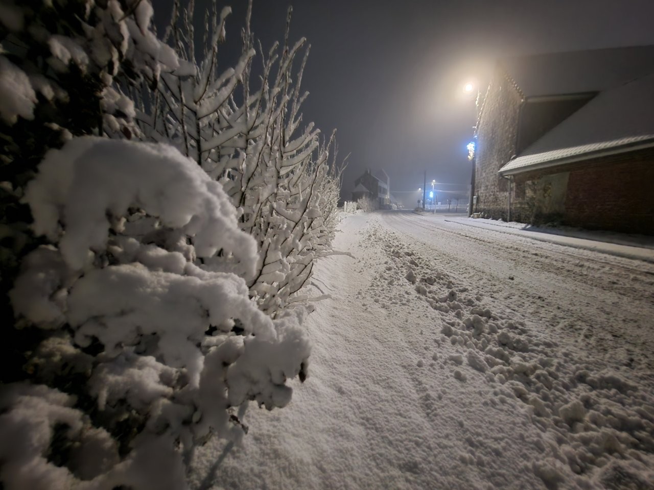 Sous la neige 62 