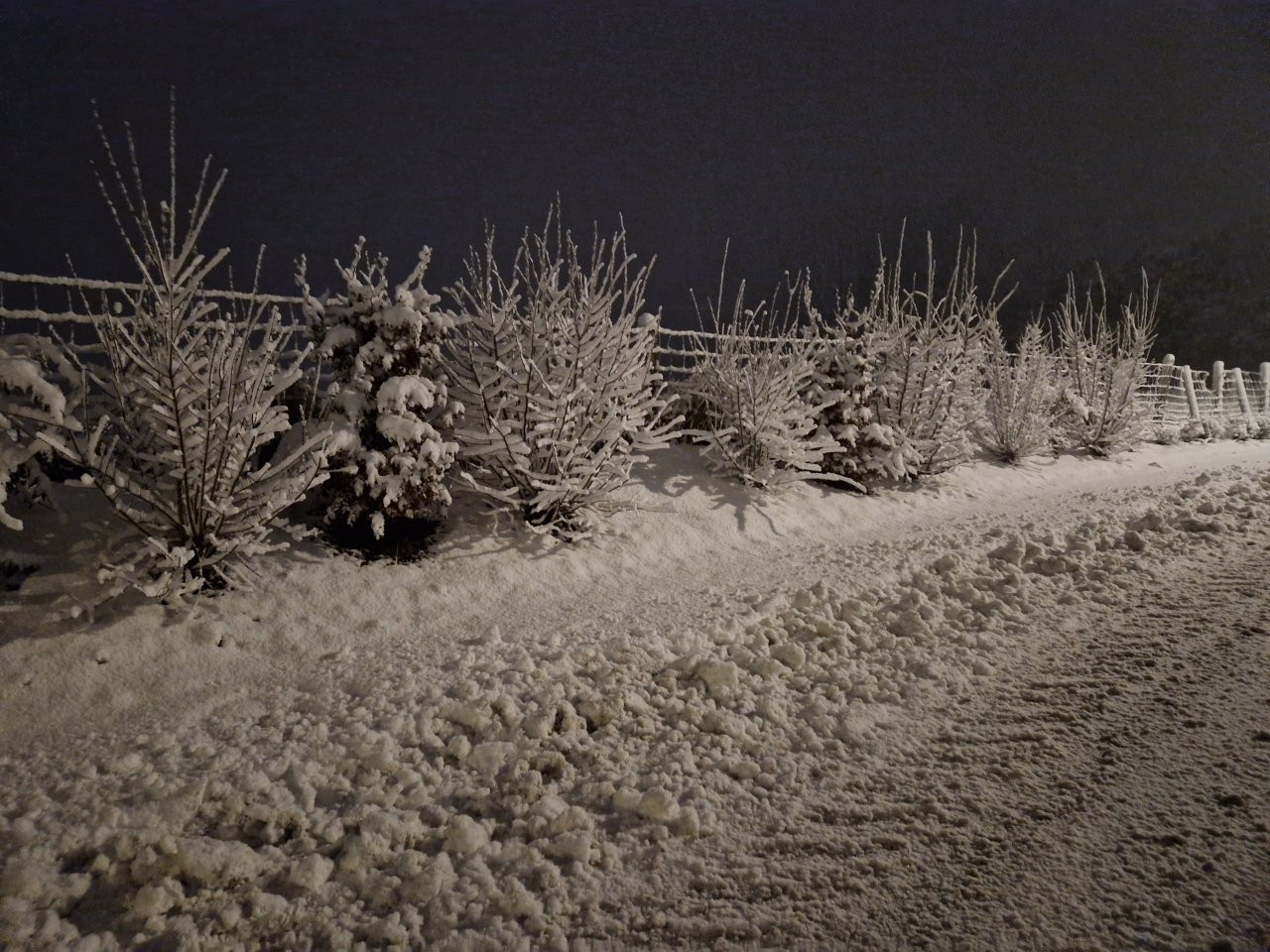 Sous la neige 64 