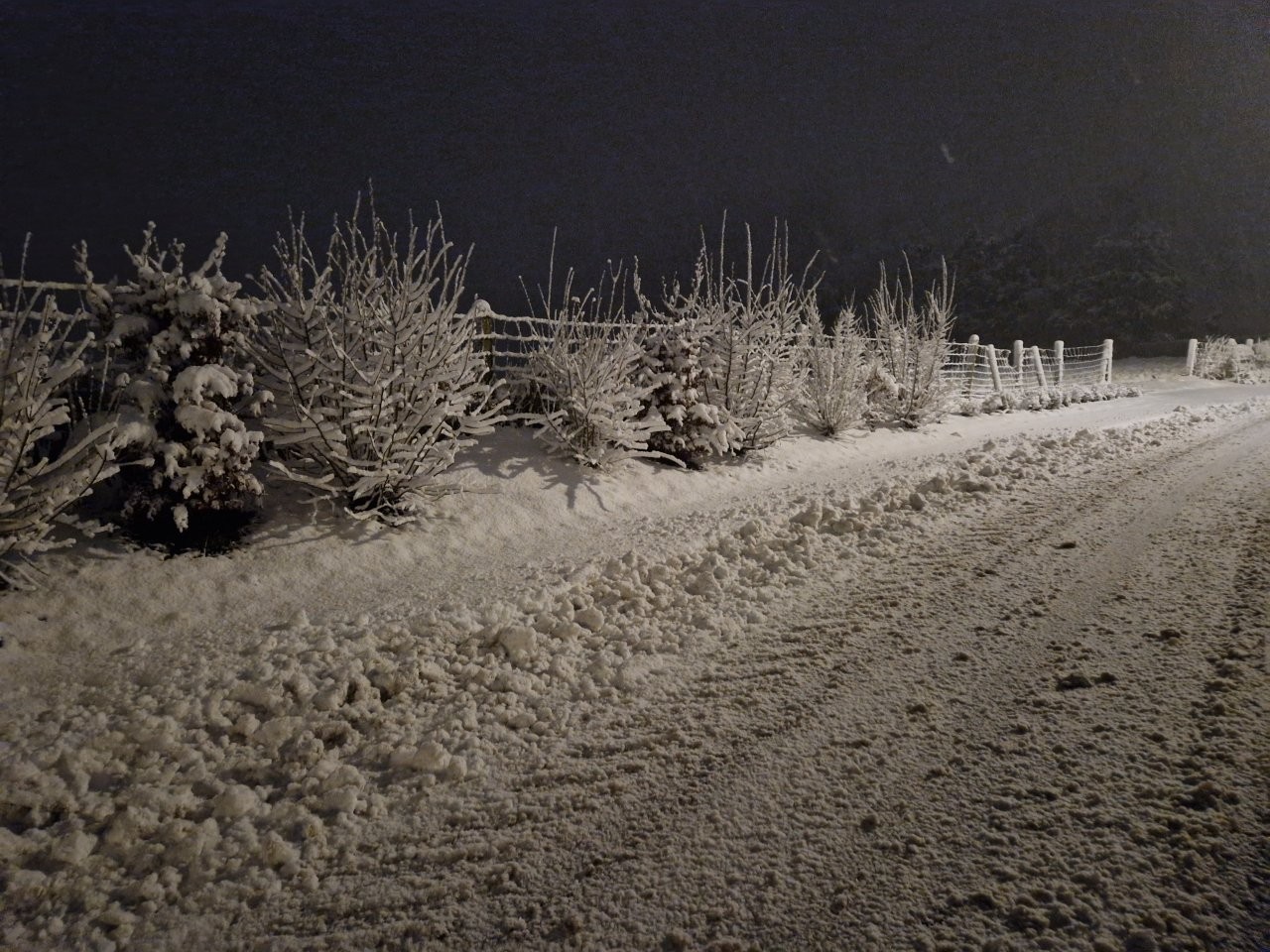 Sous la neige 65 