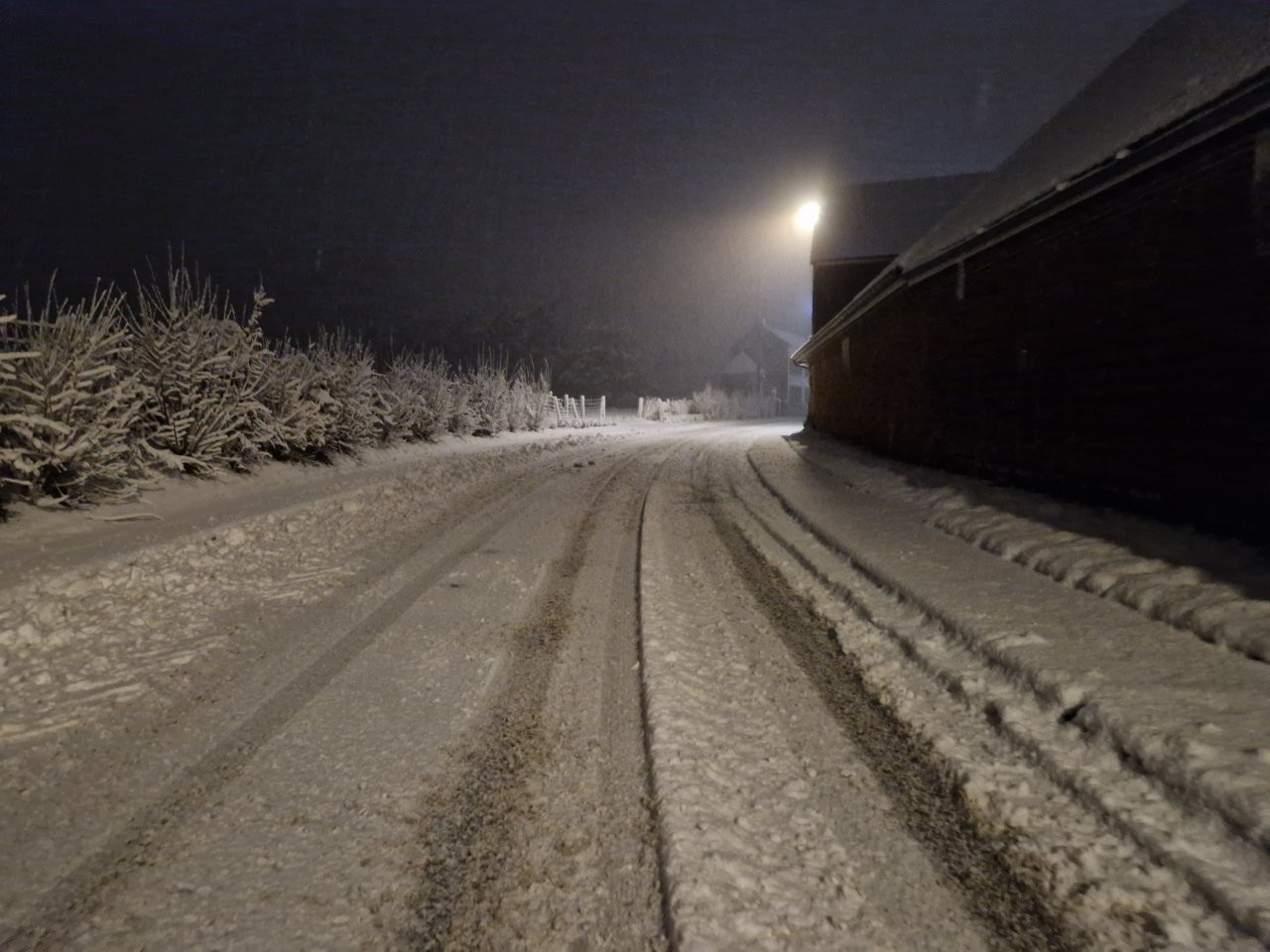Sous la neige 67 