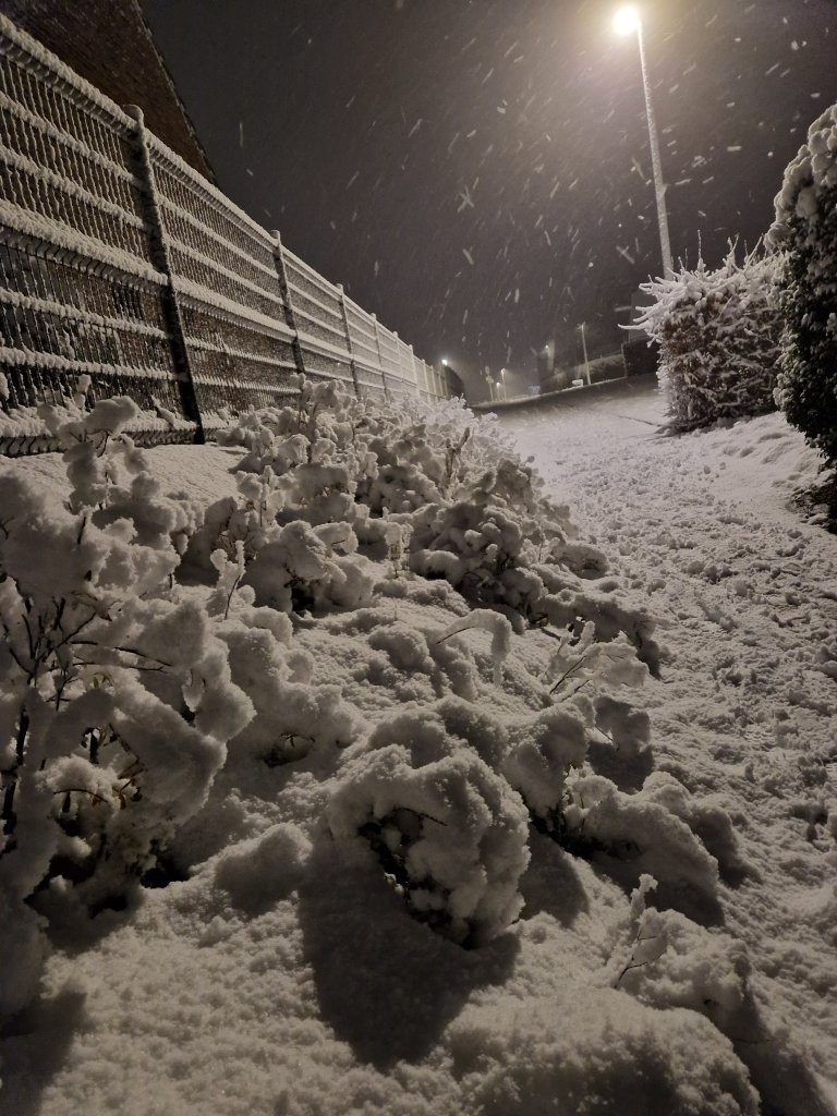 Sous la neige 78 