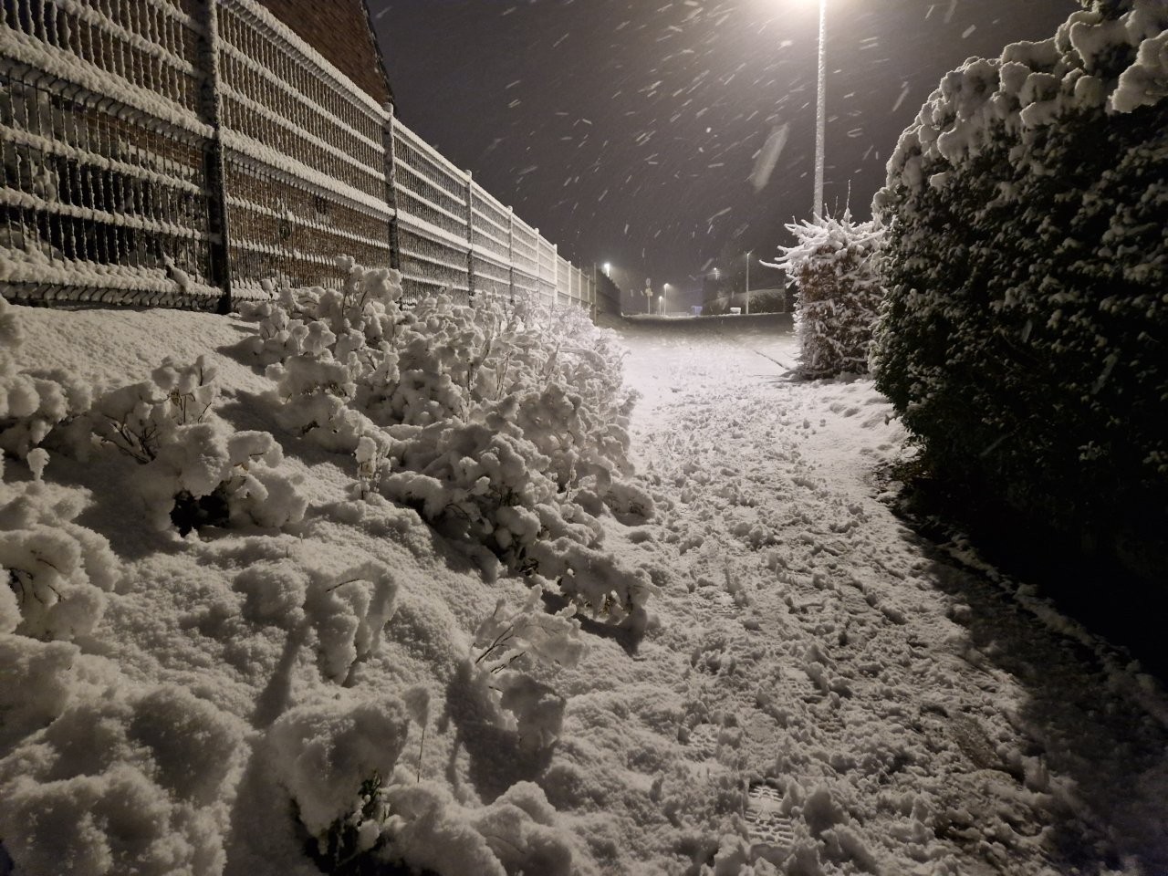 Sous la neige 79 