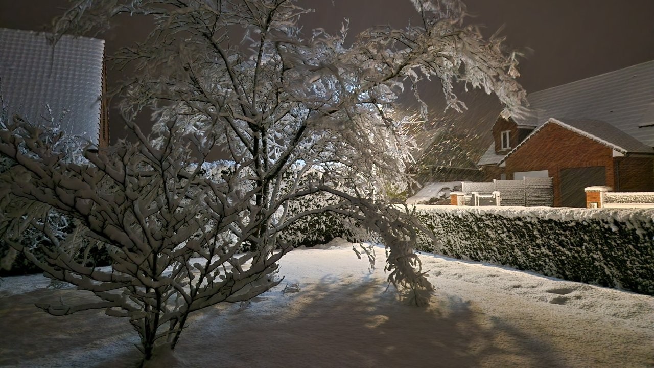 Sous la neige 8 