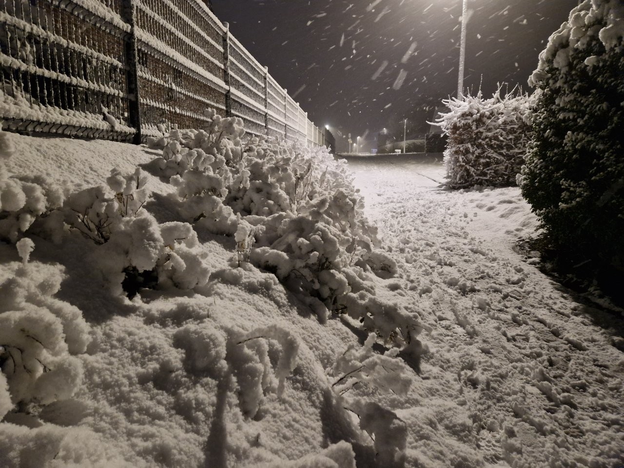 Sous la neige 80 