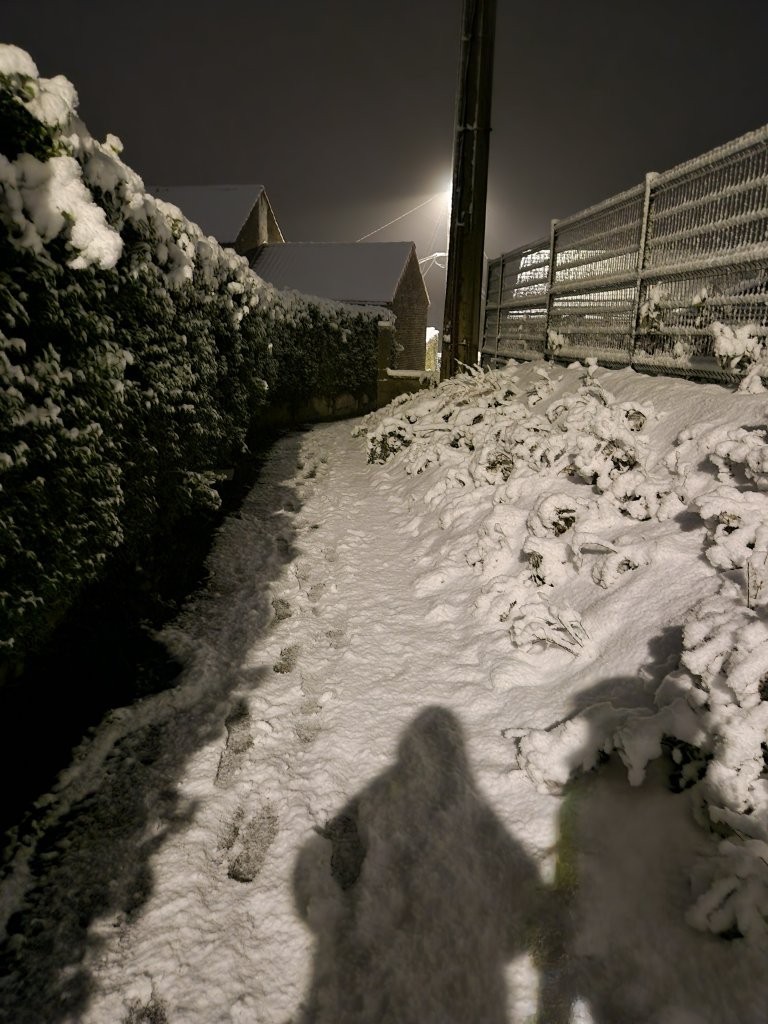 Sous la neige 81 