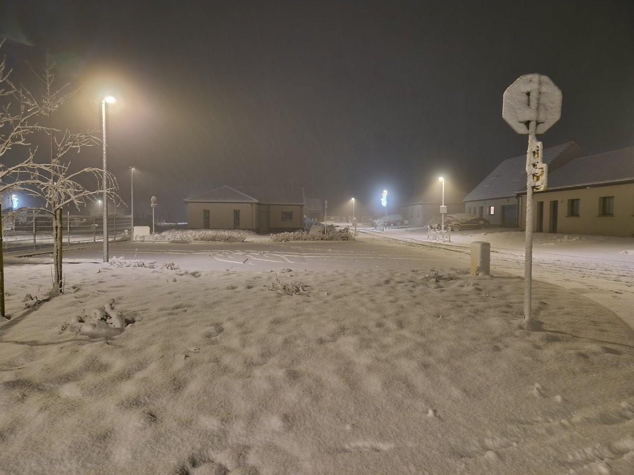 Sous la neige 84 