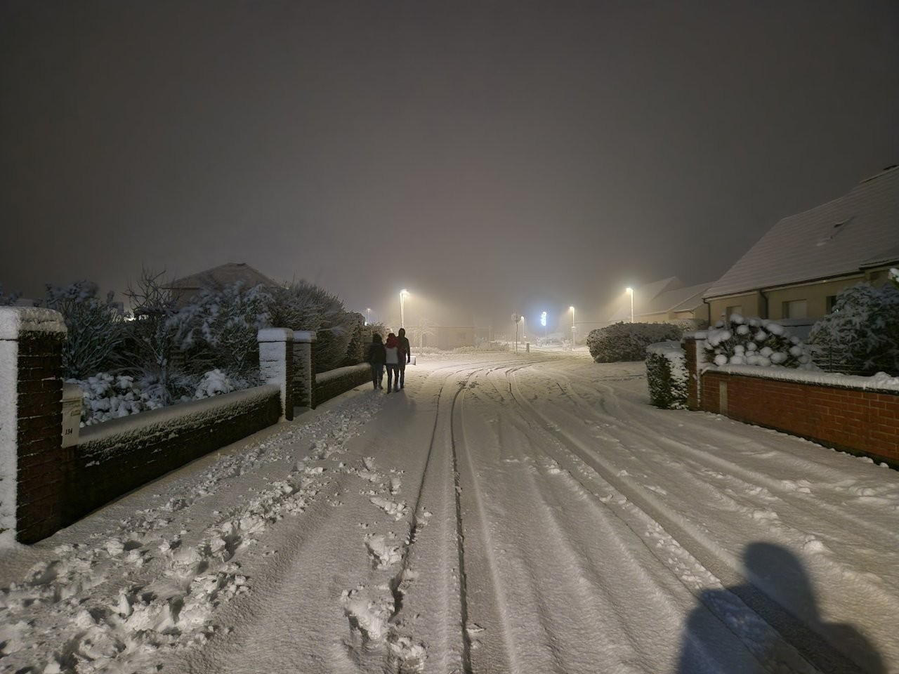 Sous la neige 86 