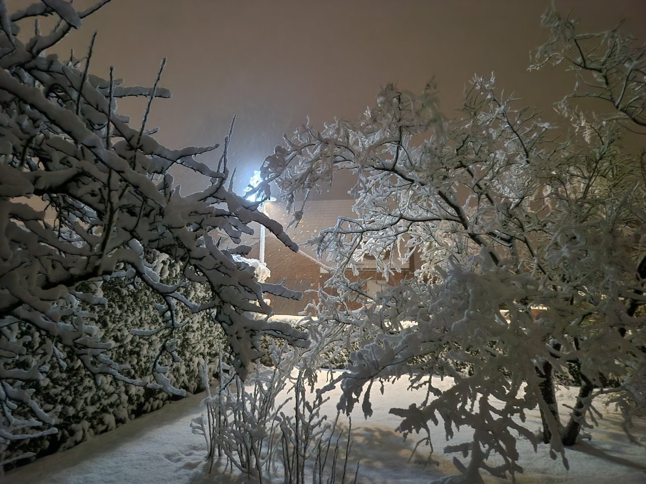 Sous la neige 87 