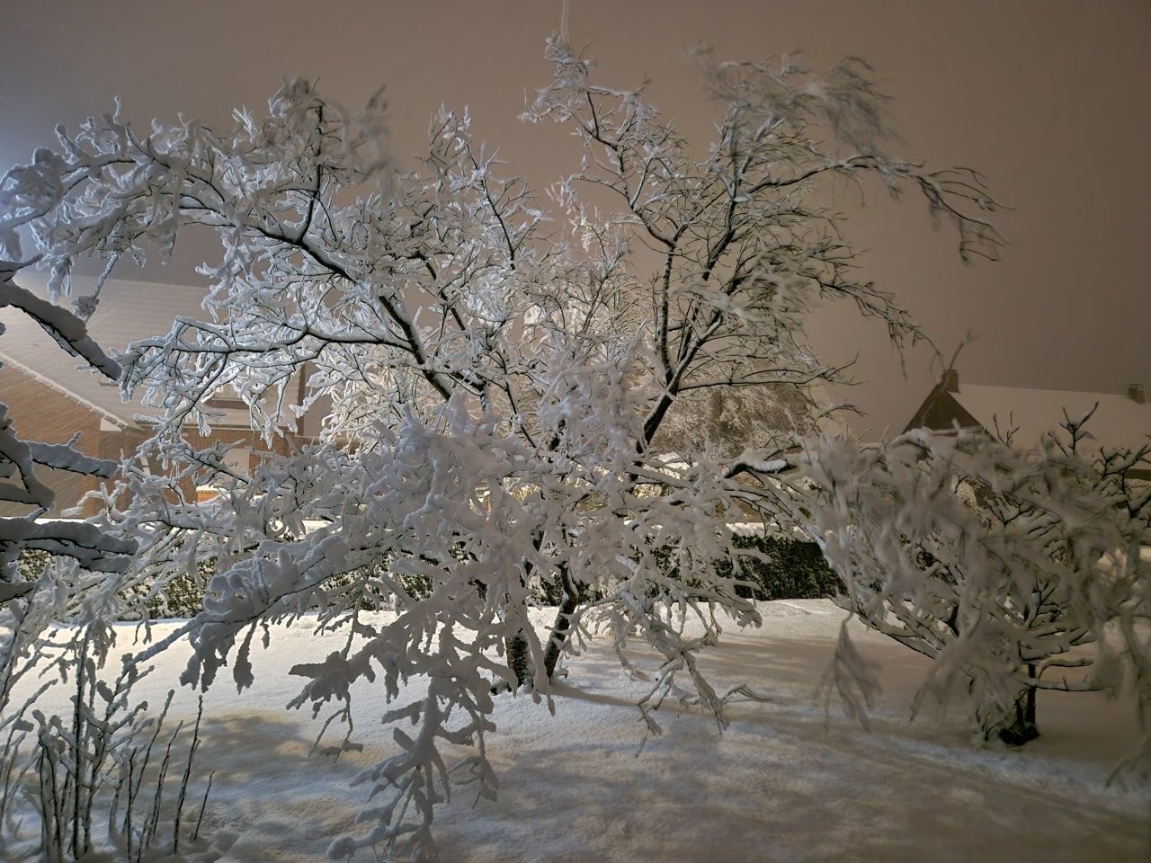 Sous la neige 88 