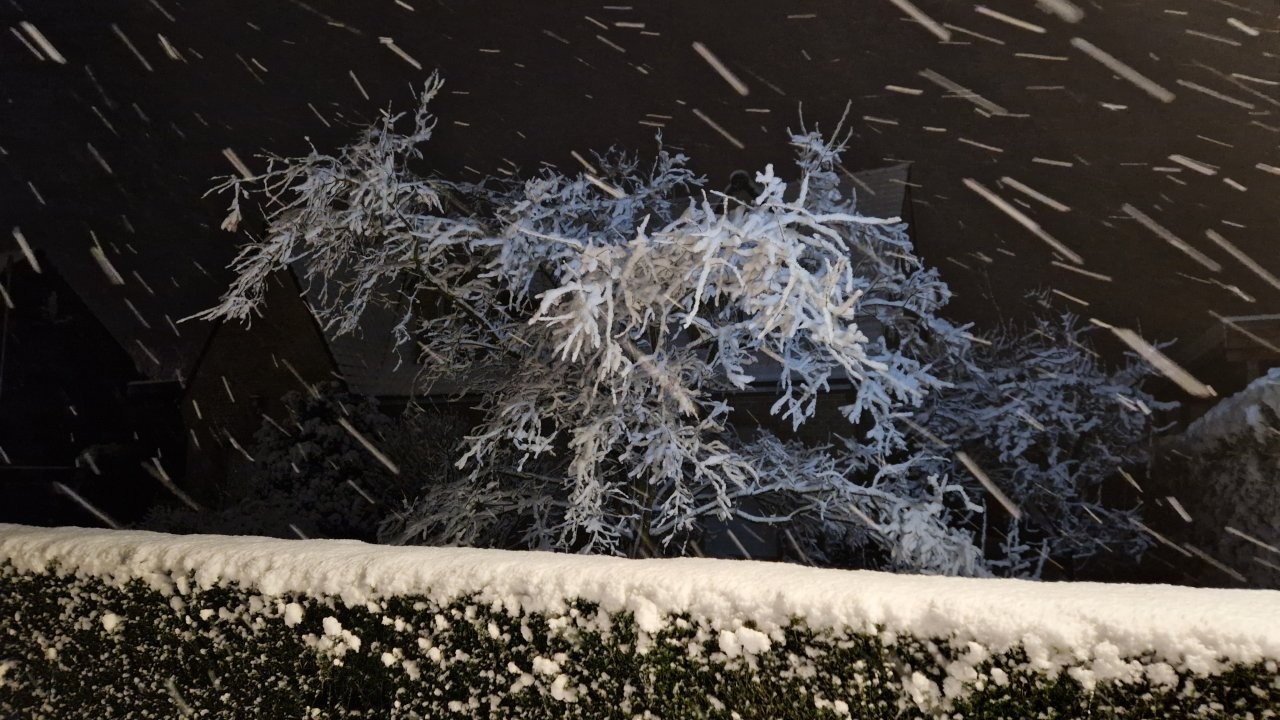 Sous la neige 9 