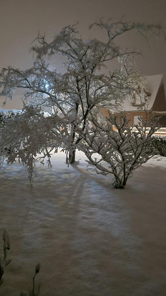 Sous la neige 90 