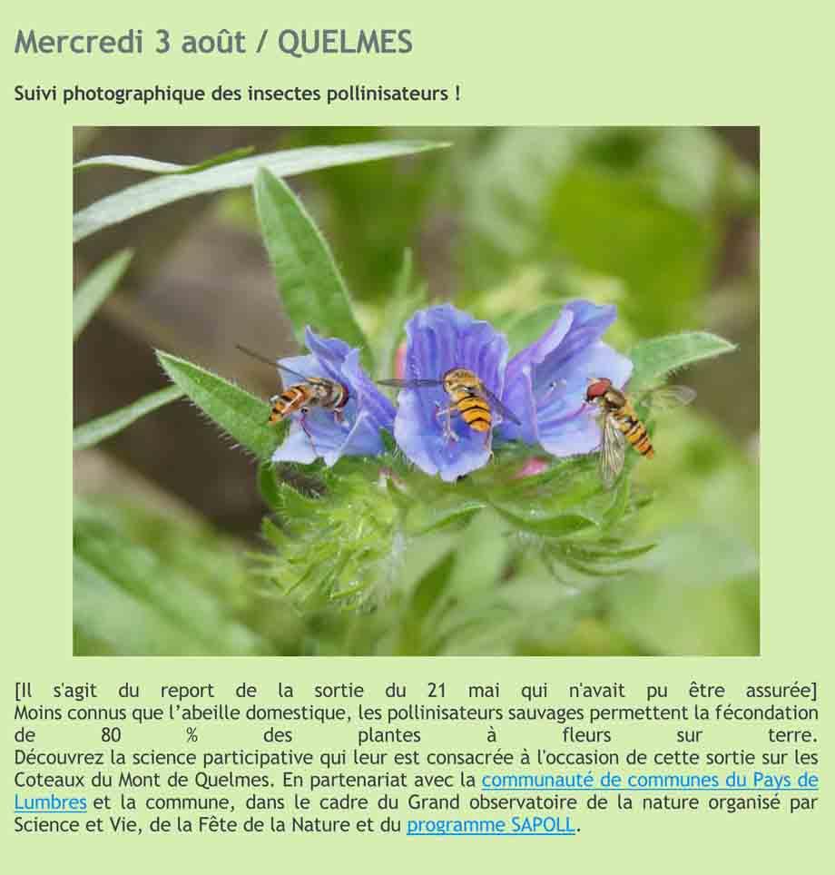 02 3 aout quelmes