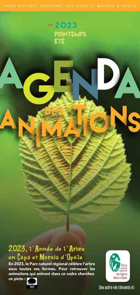 I 200423 agenda animations 1