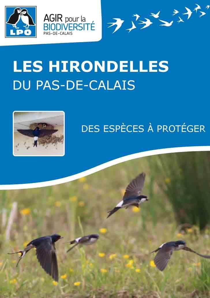 Lpo62 brochure hirondelle 1