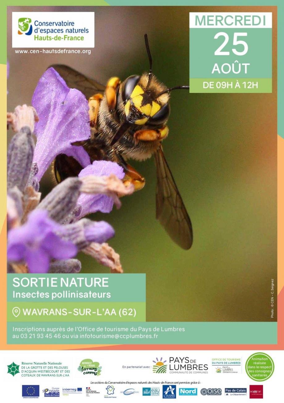 Sortie nature