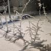 Sous la neige 10 