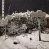 Sous la neige 14 