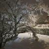 Sous la neige 8 