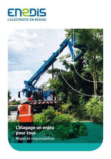 L elagage un enjeu pour tous regles et responsabilites